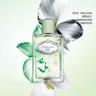 Les Infusions Unisex Collection | Prada Beauty Official Site